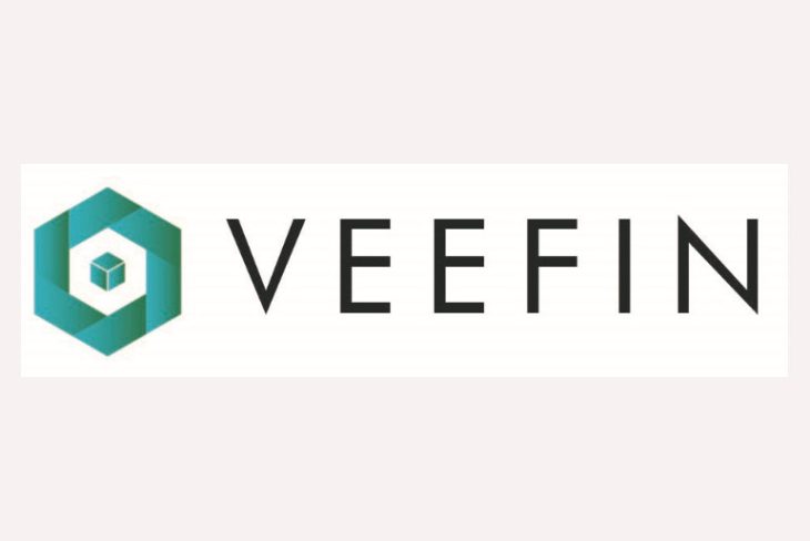 veefin-group-logo